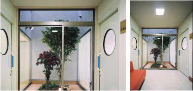 �҂�������